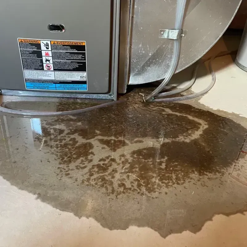 Appliance Leak Cleanup in Pomeroy, OH